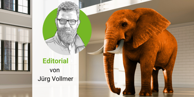 Ein oranger Elefant in einem leeren Raum, daneben das gezeichnete Porträt von «die grüne»-Chefredaktor Jürg Vollmer.