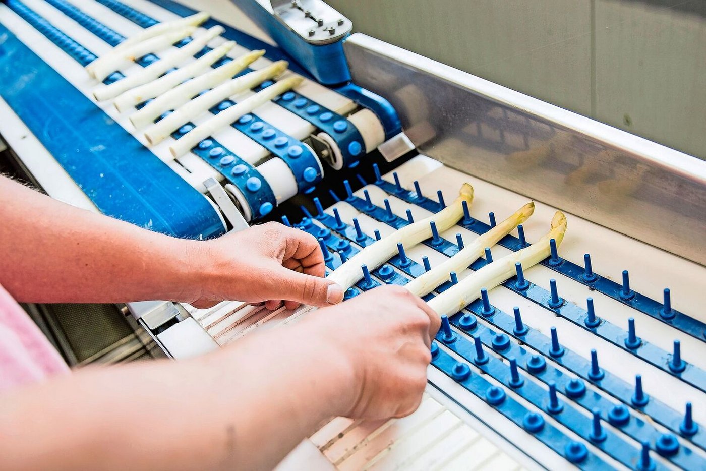 Bei weissen Spargeln werden seit 2023 Rostspuren toleriert, dies dank Qualitätsbestimmungen, die der VSGP zusammen mit dem Handel angepasst hat.