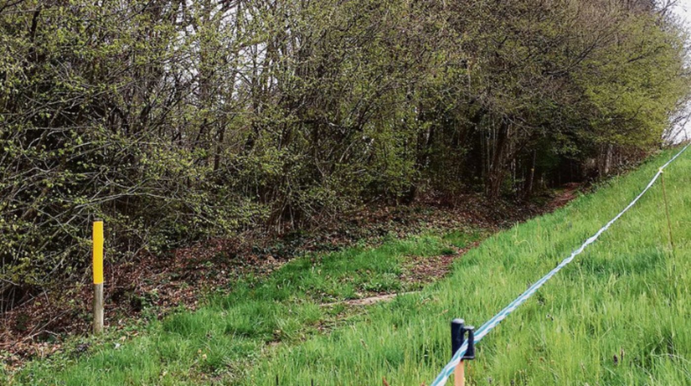 Nahe: Wanderwege und Landwirtschaft. (Bild aem)