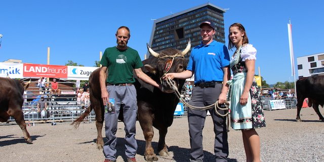 Franz Schindler aus Goldau präsentiert den Mister ZM Zug Original Braunvieh Alex. (Bilder Hans Rüssli)