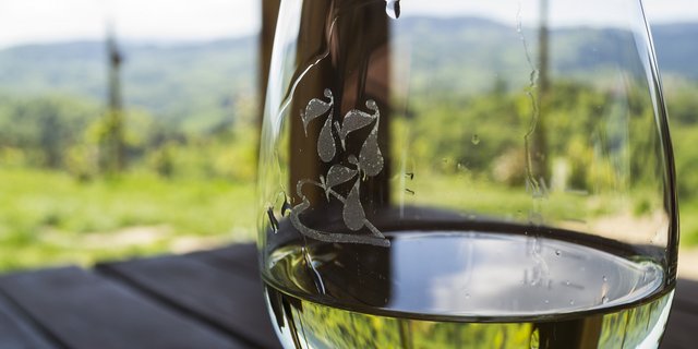 Ein Gläschen in Ehren – am liebsten aus der Schweiz. (Bild Pixabay)