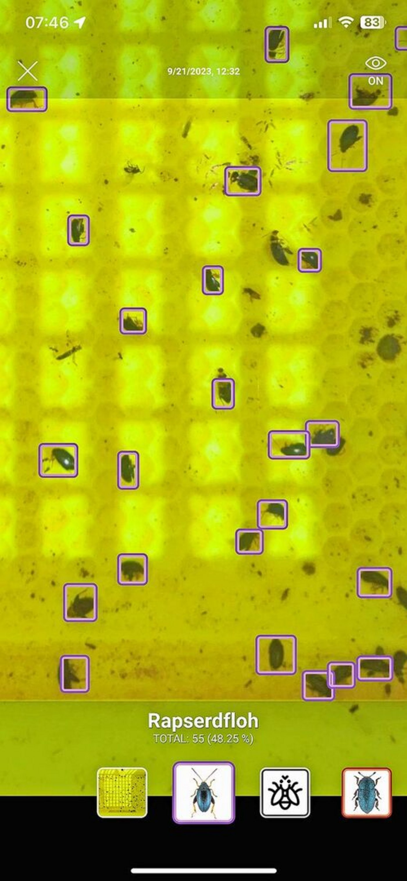 Die Falle erkennt den Rapserdfloh und zählt, wie viele es davon hat.