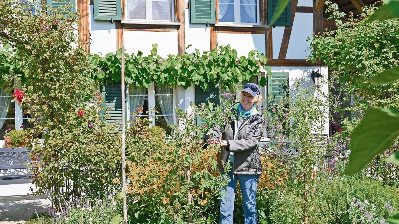 Sandra Flückiger freut sich, dass ihre beiden Tomatenstauden trotz garstigem Wetter ungeschützt so gut gelungen sind. 
