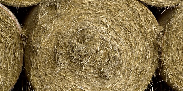 Der neue Marktplatz für Bio-Betriebsmittel wie Stroh und Heu heisst Biomondo. (Bild Pixabay)