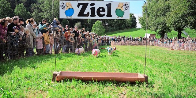 Säulirennen am Liebegger Tag: Gegen 5000 Besuchende kamen in Kontakt mit der Land- und Ernährungswirtschaft.