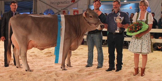 Roos OB Vero VERONA von Werner Roos aus Beromünster holte gleich alle  drei OB Titel. (Bilder Reto Betschart)