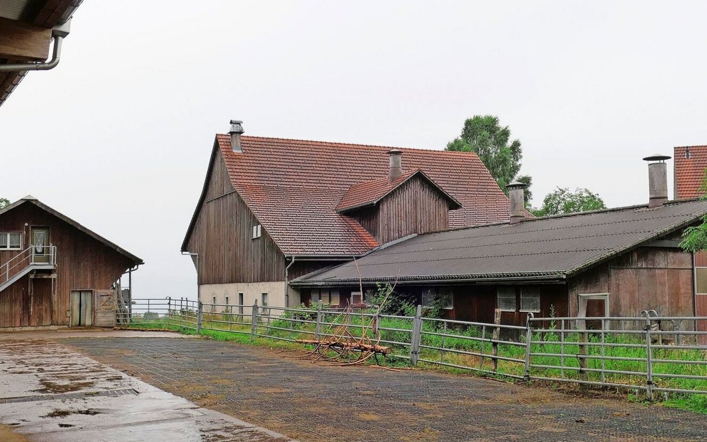 Sind die Pferde nicht auf der Weide, können sie sich auf dem 800 m2 grossen Allwetterauslauf frei bewegen. Dieser ist teils mit Beton, teils mit Ecoraster befestigt. 