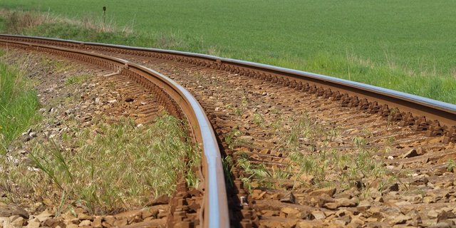 Zäune, ein geeigneter Weideplatz und gute Tierbeobachtung sollen Unfälle mit Zügen verhindern, schreibt die BUL. (Bild LucieLucy / Pixabay)