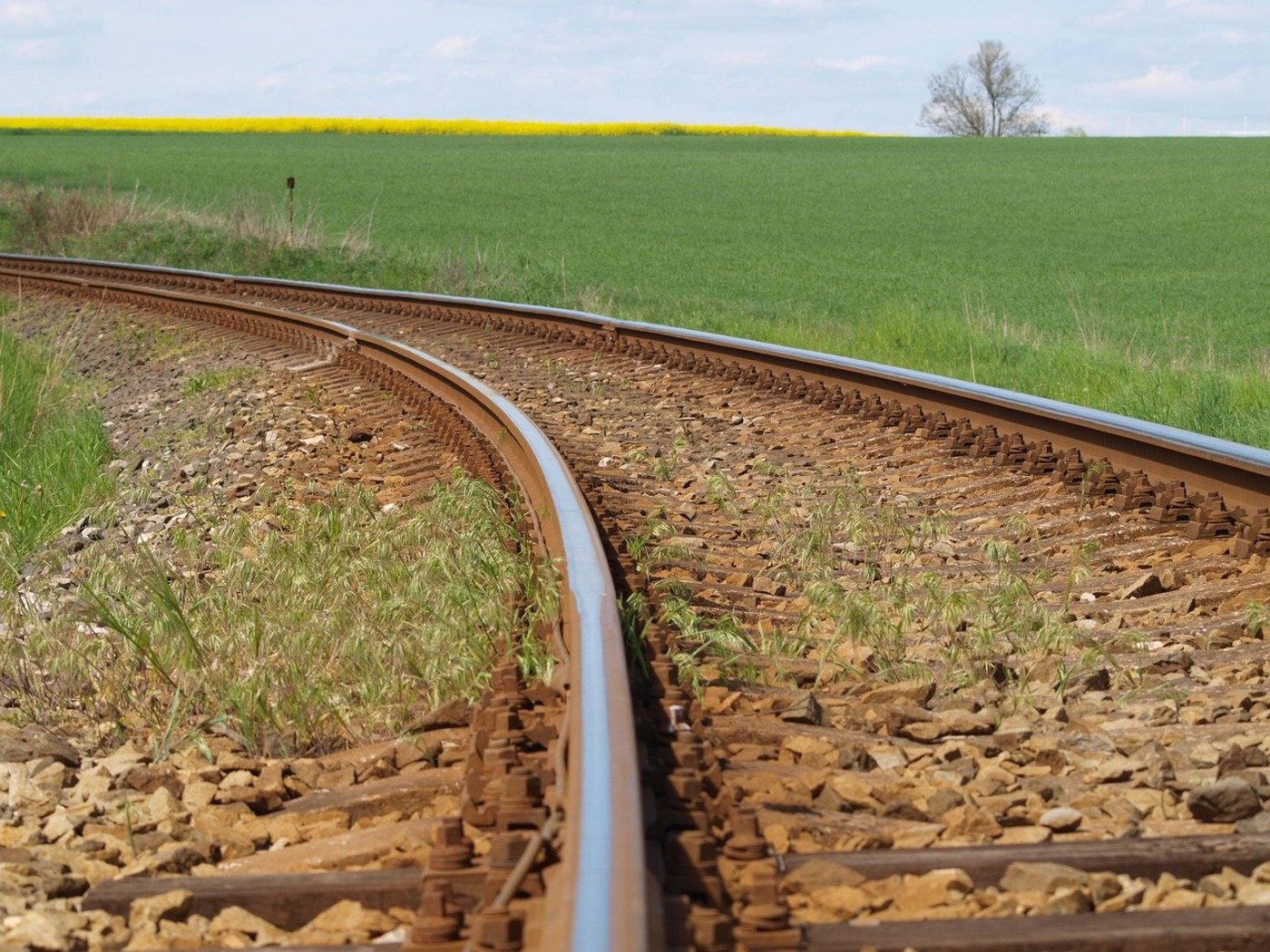 Zäune, ein geeigneter Weideplatz und gute Tierbeobachtung sollen Unfälle mit Zügen verhindern, schreibt die BUL. (Bild LucieLucy / Pixabay)