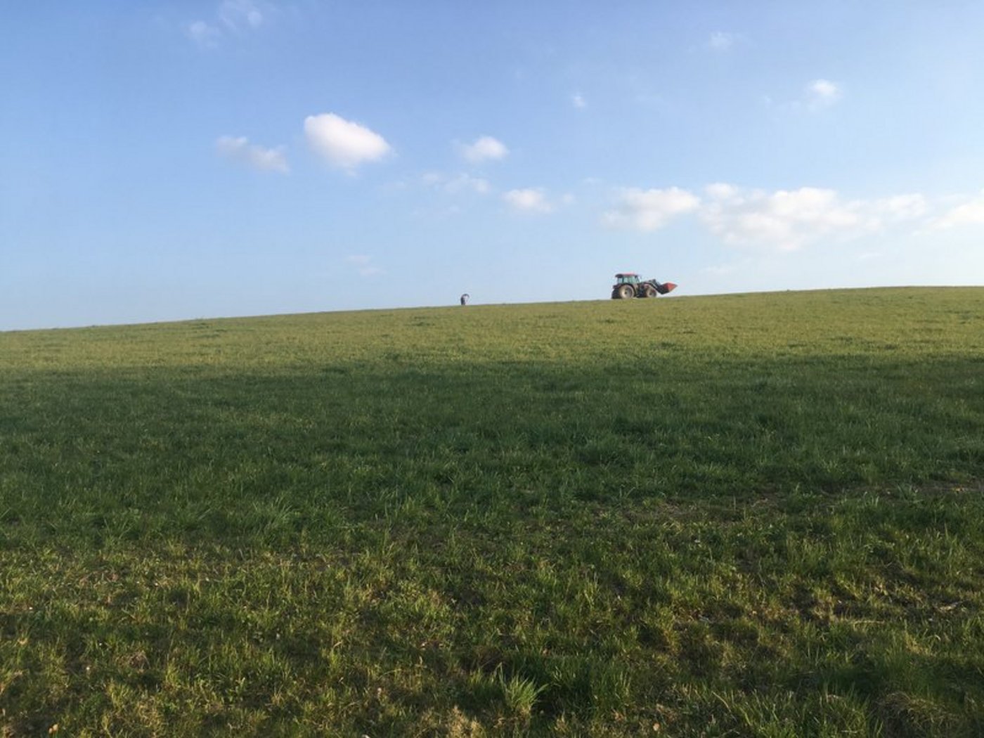 Eva Hubschmid hofft, mit ihrer Masterarbeit zur Diskussion um den Wert der landwirtschaftlichen Arbeit beizutragen, wozu für sie auch mehr Toleranz gegenüber beispielsweise dem Einsatz von Pflanzenschutzmitteln gehört. (Bild jsc)