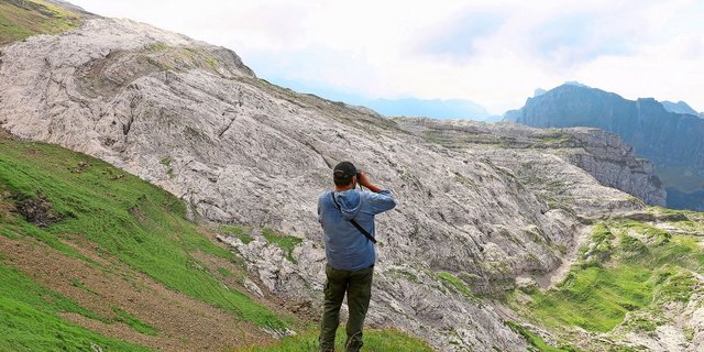 Der Wolf fordert die Schafhirten auch diesen Sommer.