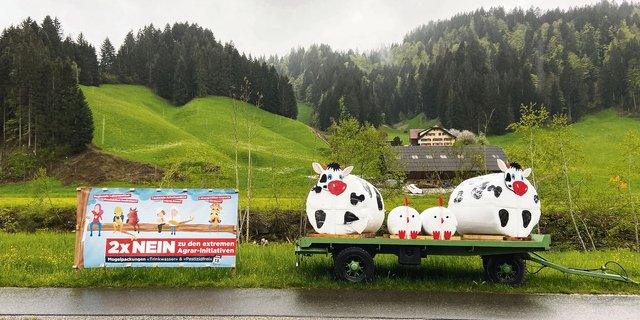 Abstimmungskampf im Entlebuch: Trotz stürmischen Wetters leuchtet das Grün saftig und zeigt an, dass nach fast jedem Unwetter früher oder später ein Hochdruckgebiet folgt. (Bild akr)