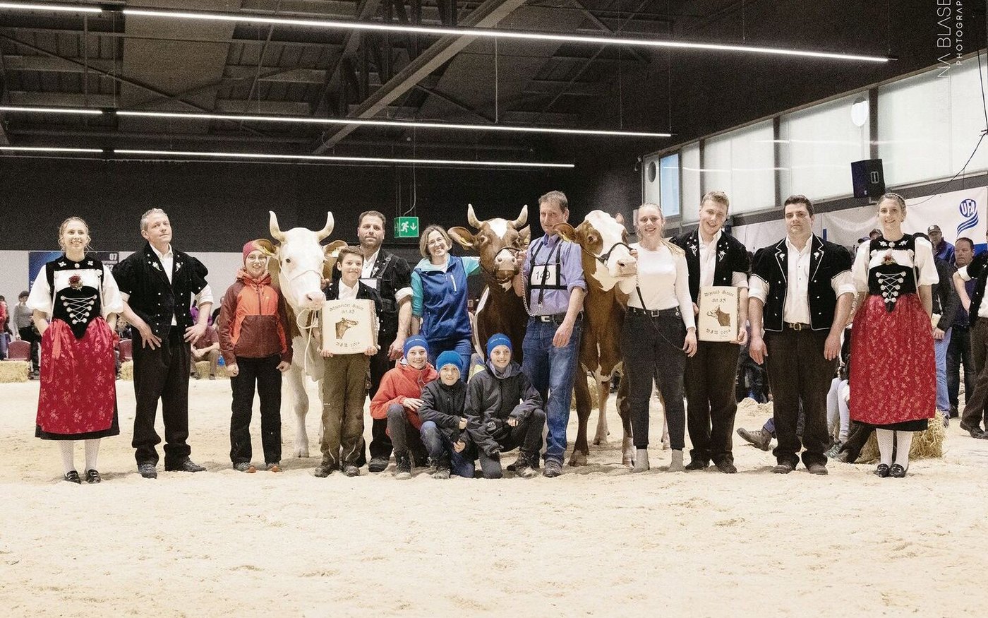 Die Missen der Swiss Fleckvieh: Banane von Werner Aebersold (links), Panama von Samuel und Ueli Künzi (Mitte) sowie Sunside Kilian Sf Ivabia von Christian Stucki.