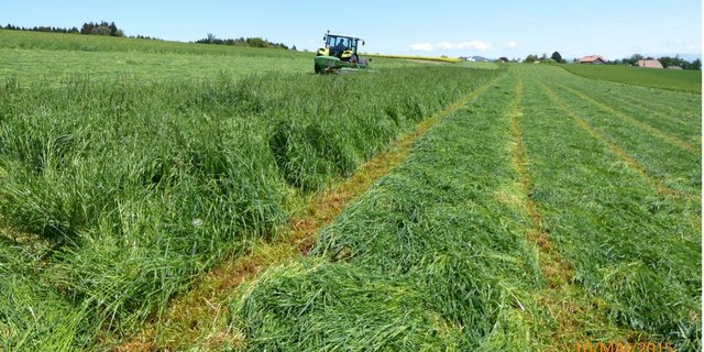 Der Vorteil digitaler Flurbegehungen: Man kann sie nachschauen und hat keinen Anfahrtsweg. (Bild Landi)