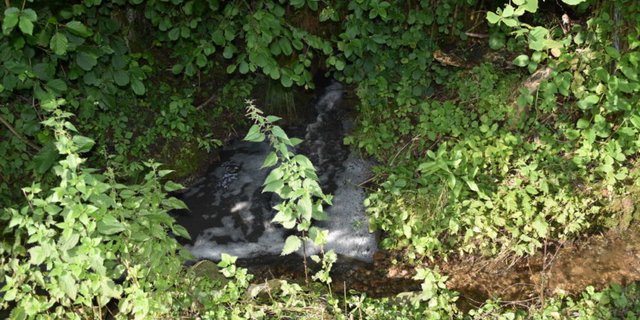 Der Unfall ereignete sich am frühen Montagmorgen in Siebenhausen. (Bild Kapo SG)