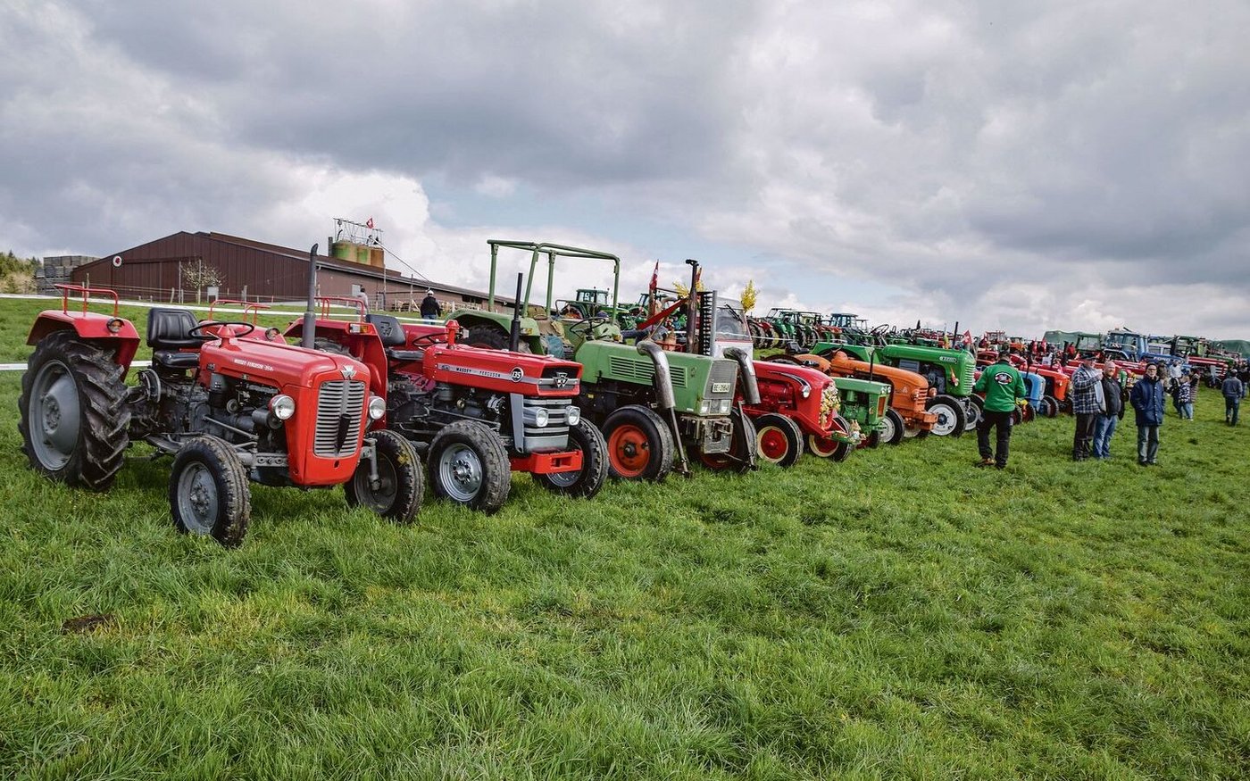 In Reih und Glied in Rot und Grün: Die Palette an alten Traktoren war so vielseitig wie das Publikum.