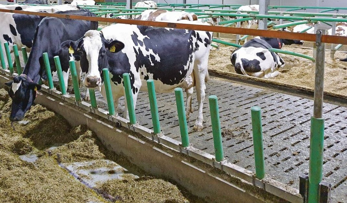 Gülle wird häufig unterhalb von Gängen und Laufhöfen zwischengelagert. Vor allem beim Aufrühren in Innenbereichen ist die Lüftung entscheidend.