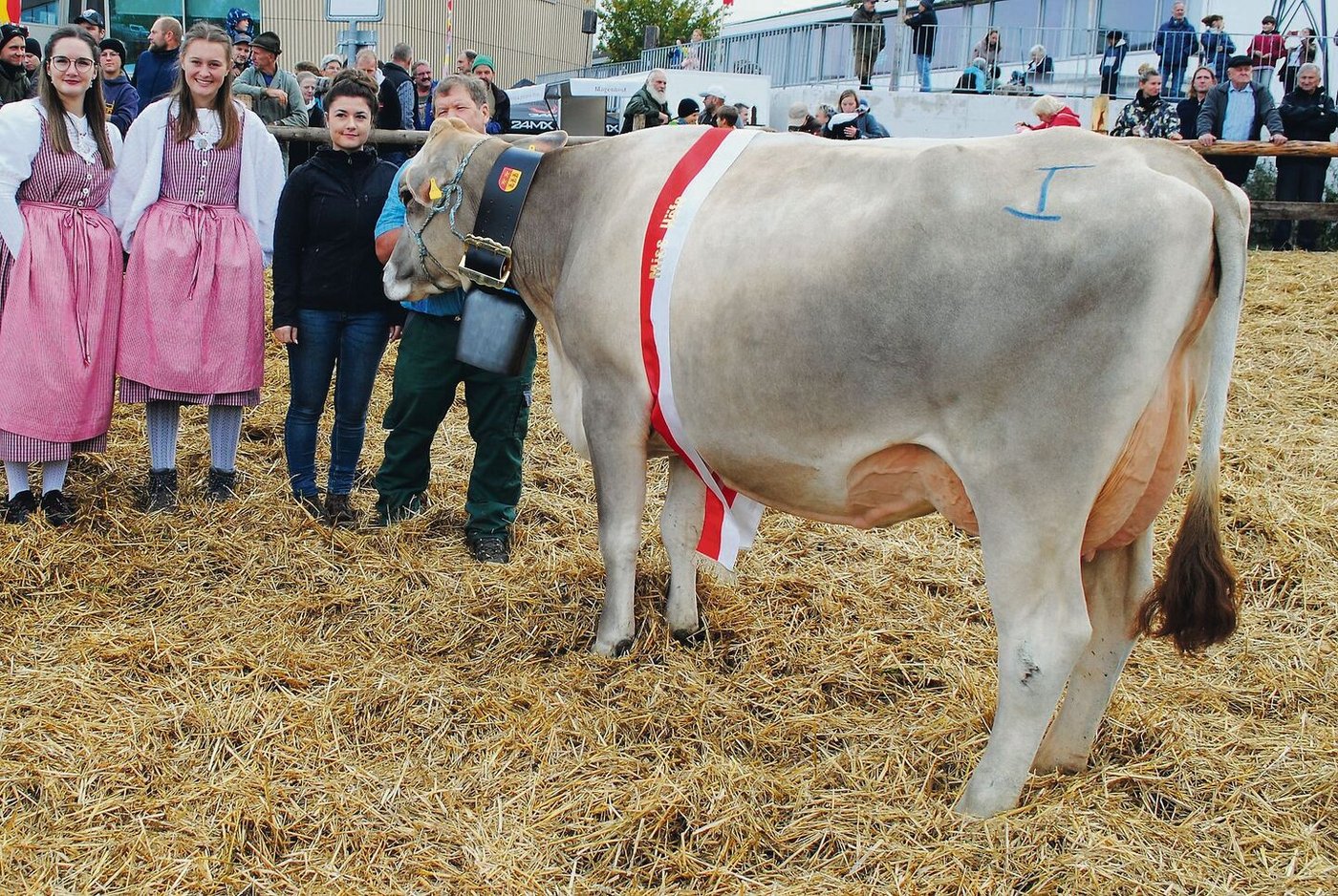 Miss Höfe Phil Finia von Familie Häcki aus Pfäffikon.