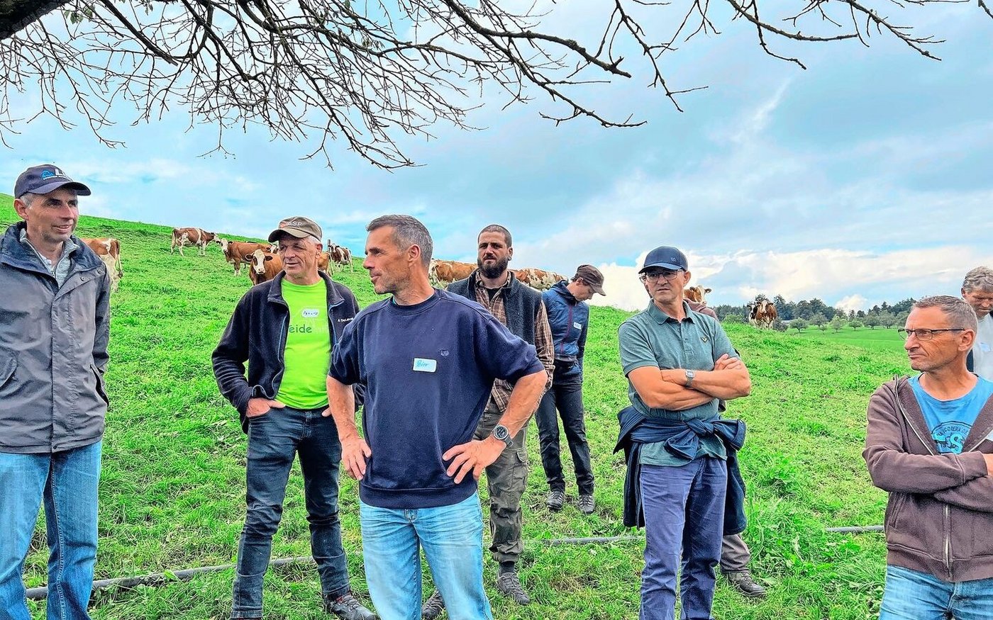 Peter Heller (im blauen Pullover) zeigte seinen Weidemilch-Kollegen die Weiden auf dem Betrieb Hinter-Oberberg in Willisau LU.