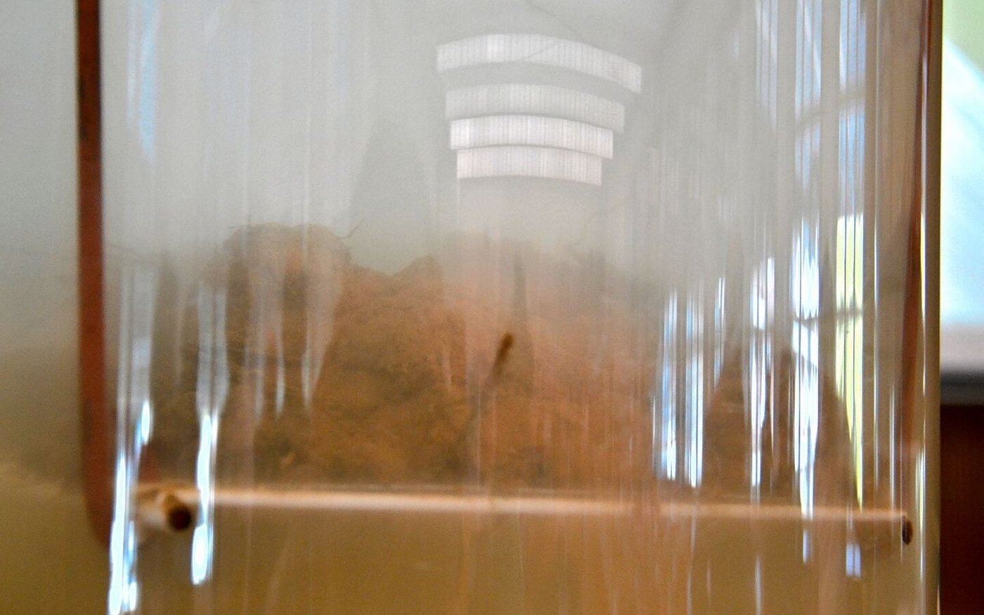 Der Erdklumpen aus einer Pflugparzelle zerfällt rasch.