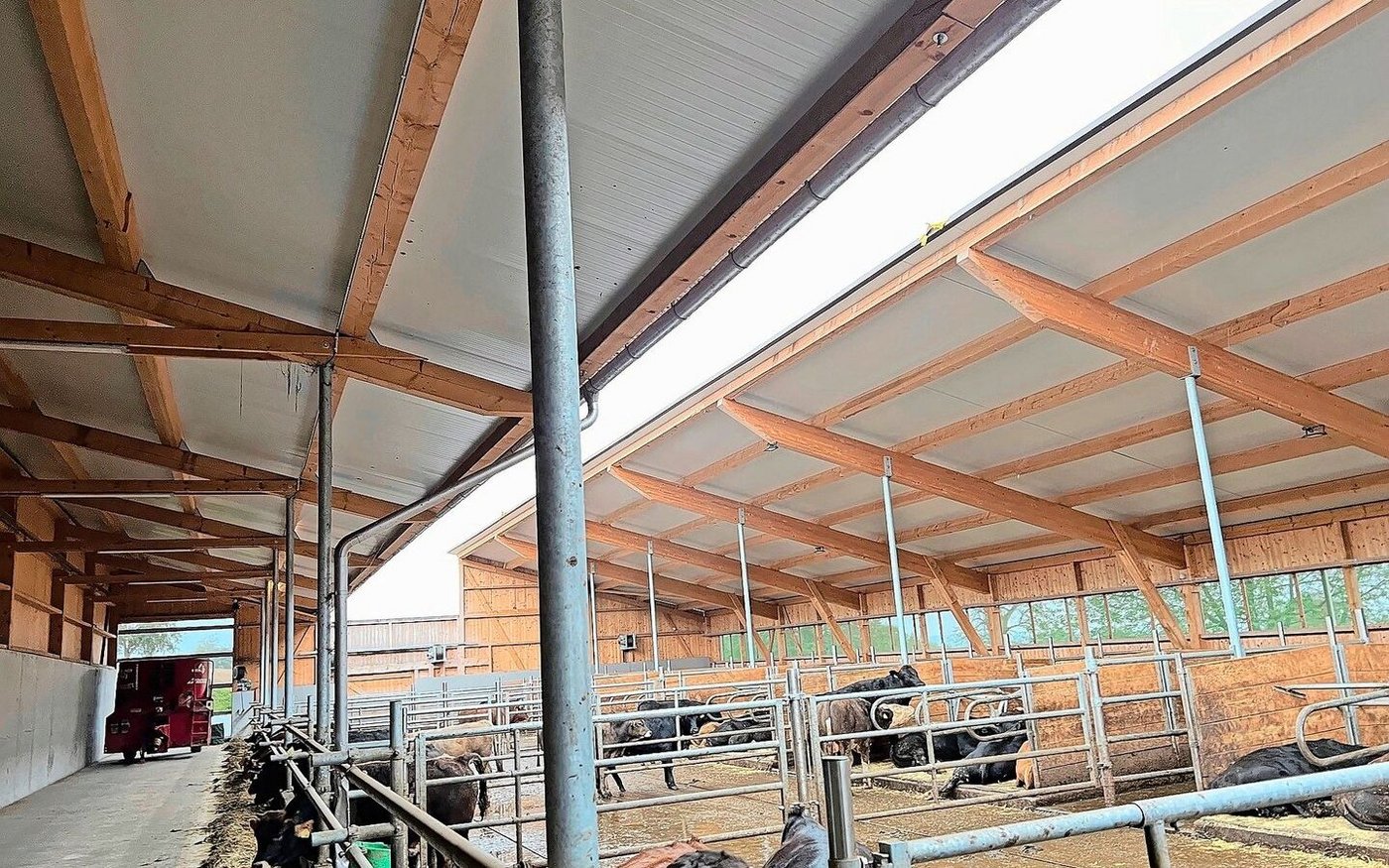 Dieser neue Stall erfüllt die Bedingungen von RAUS nicht, weil keine Seite offen ist und die Tiere nicht ins Freie sehen können. 