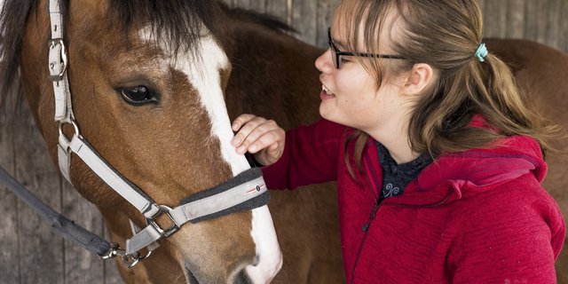 Für das Projekt ist der Pferdezuchtverband des Kantons Jura Partner und für die Suche nach geeigneten Pferden für die Kunden und die Auszahlung der kantonalen Förderbeiträge zuständig. (Bild Kanton JU)