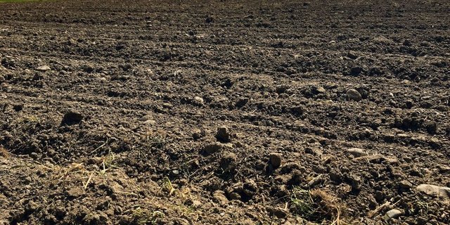 Der Boden lebt, und mit einem hohen Humusgehalt noch viel mehr. Über Bodenfruchtbarkeit wurde an der Generalversammlung von Bio Luzern referiert und diskutiert. 