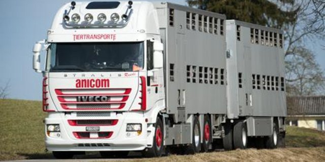 Die guten Produzentenpreise für Schweinehalter wirkten sich auch auf Anicom positiv aus. (Bild zVg)