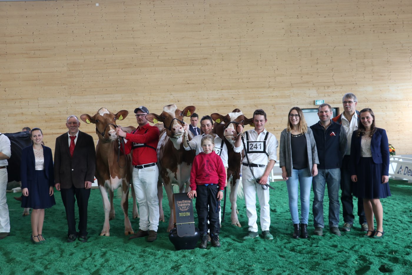Red Holstein Podest
