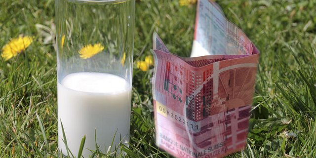 Einen besseren Milchpreis wäre absolut gerechtfertigt, sagt die BIG-M. (Bild BauZ)