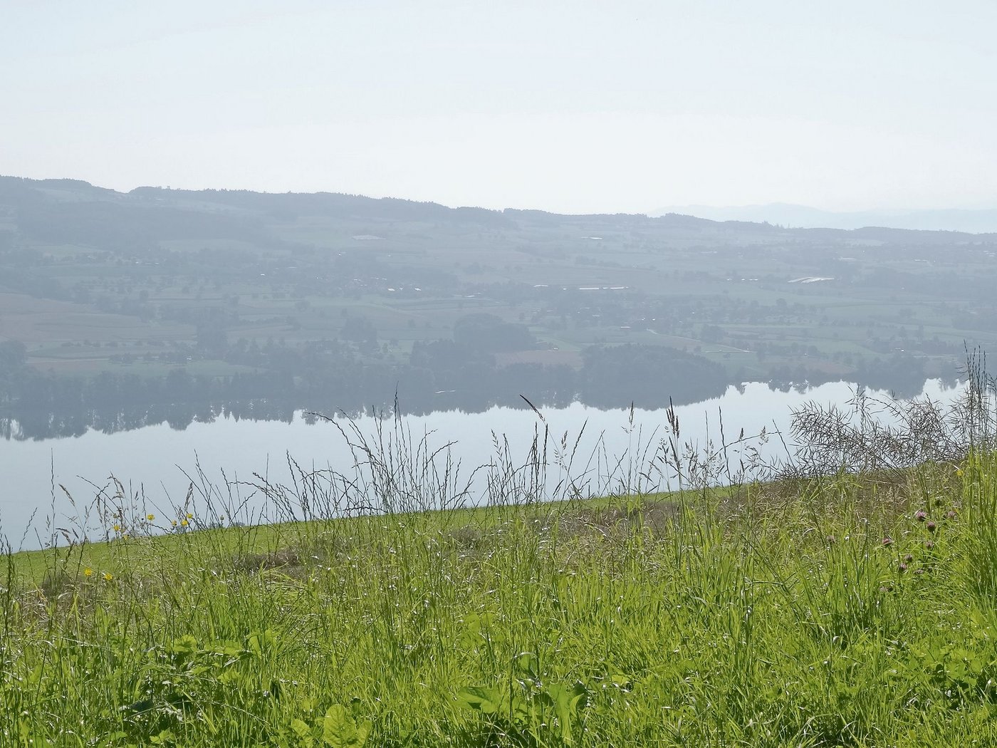 Thema Phosphor im Baldeggersee (Bild), Hallwilersee und Sempachersee: Mit einer offiziellen IG wollen sich die betroffene Bauern mehr Gehör verschaffen. (Bild BauZ)