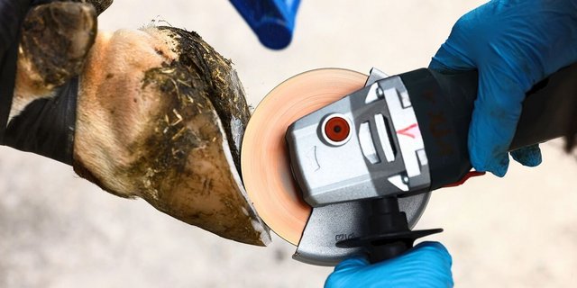 Wenn alles unternommen wurde, um mögliche Unfälle zu vermeiden und dennoch etwas vorfällt, muss die Unschuld bewiesen werden.