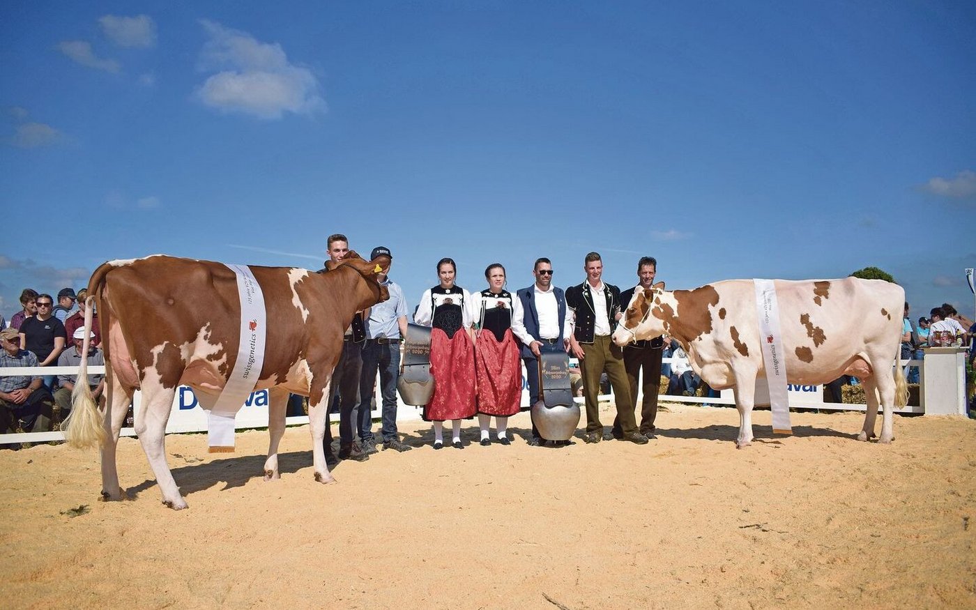 Die Miss, Biglers Indigo Mona (rechts) und die Vize-Miss, Gurtners Absolute Soleil, schwangen oben aus.