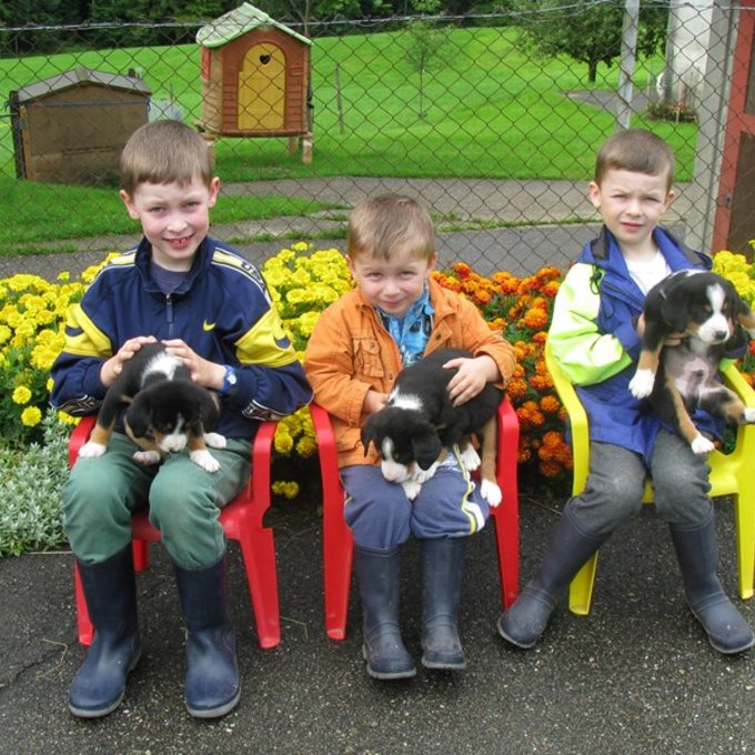 Elias, Janis und Levin beim täglichen Welpen streicheln.
  (Bild: Fam. Emmenegger)