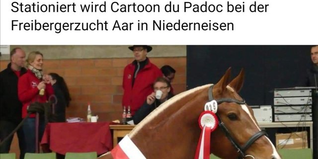 Der Facebook-Post zur Körung von Freiberger-Hengst Cartoon du Padoc
