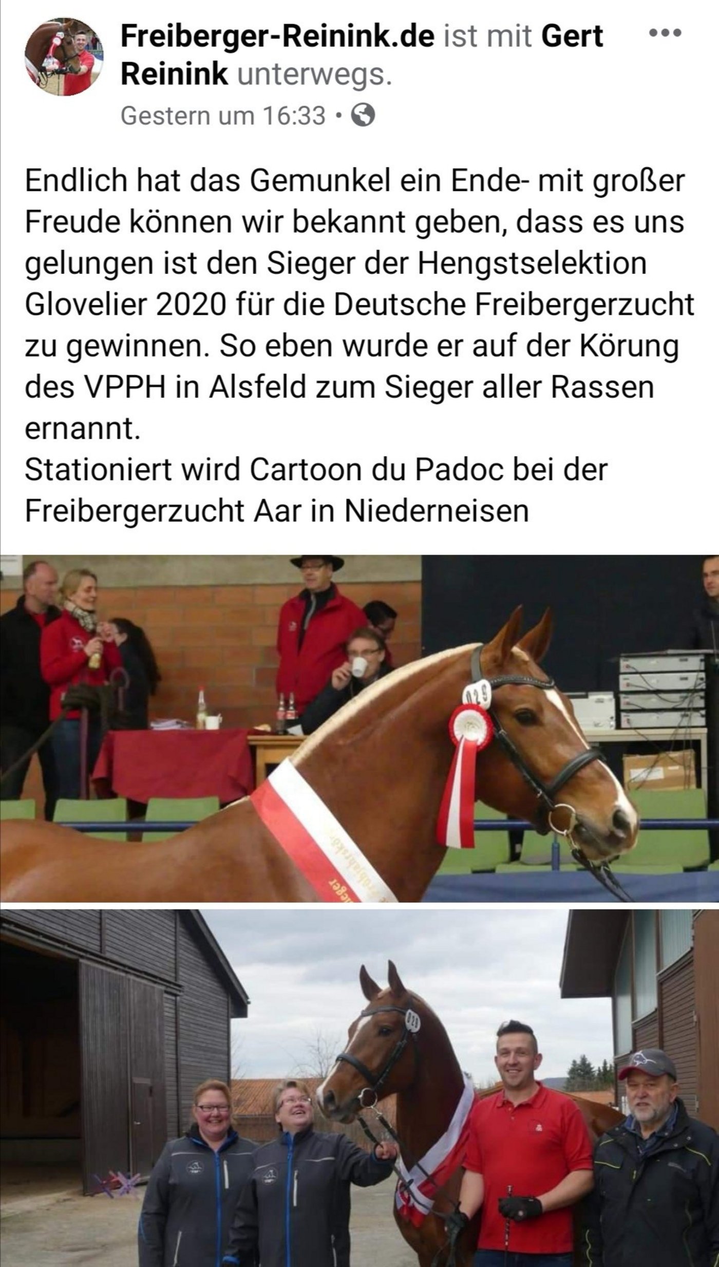 Der Facebook-Post zur Körung von Freiberger-Hengst Cartoon du Padoc