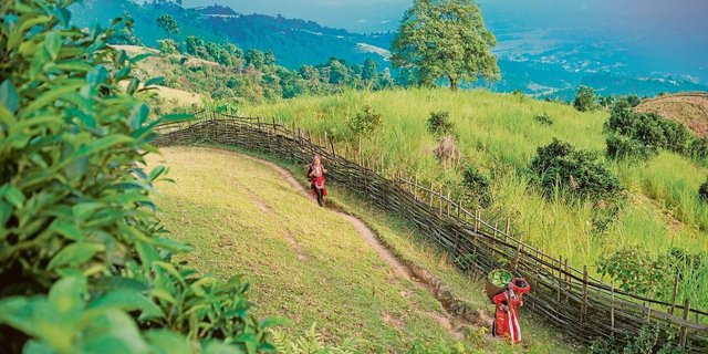 Landrechte für ethnische Minderheiten in Vietnam sichern. Daran arbeitet Helvetas von Juni 2020 bis Mai 2023.