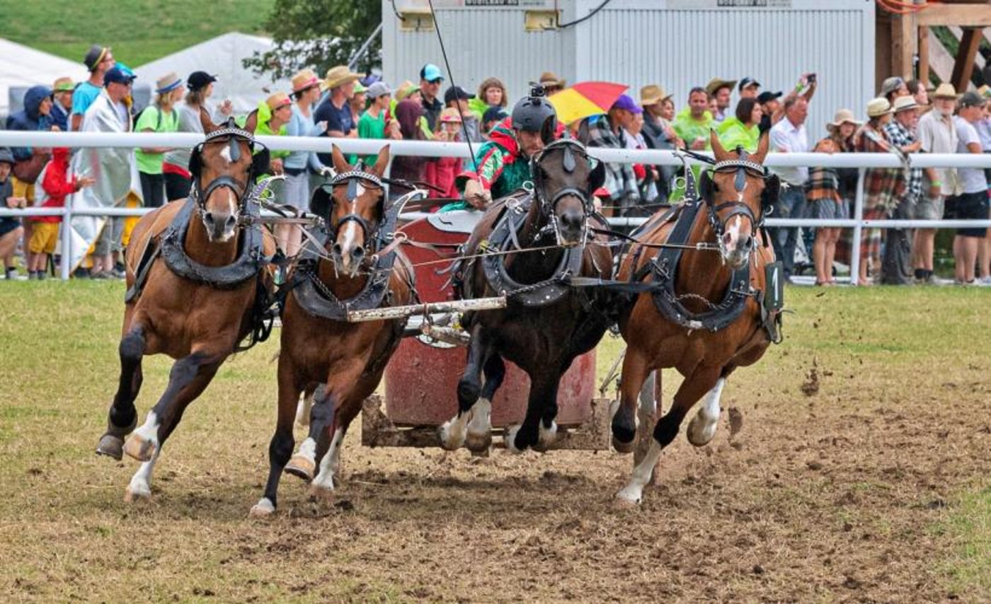 Das Marché-Concours ist die grösste Veranstaltung des Kantons Jura. (Bild marcheconcours.ch)