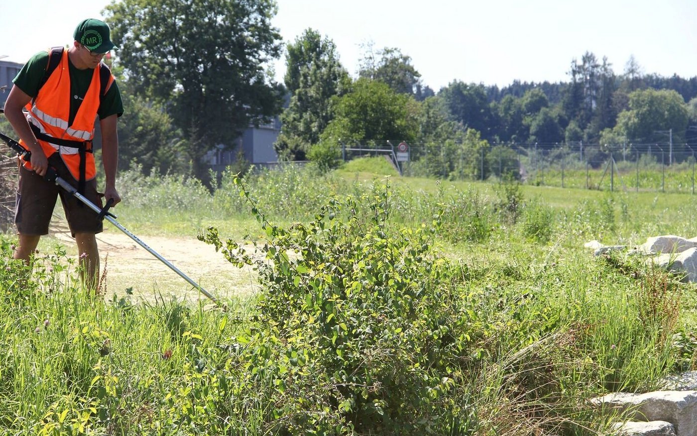 Gefragte Dienstleistung Vegetationspflege. Bauern pflegen für den Maschinenring Luzern auch ein grosses Areal der Armee.   