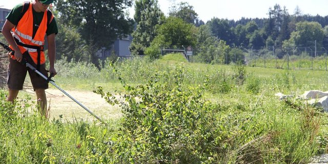 Gefragte Dienstleistung Vegetationspflege. Bauern pflegen für den Maschinenring Luzern auch ein grosses Areal der Armee.   