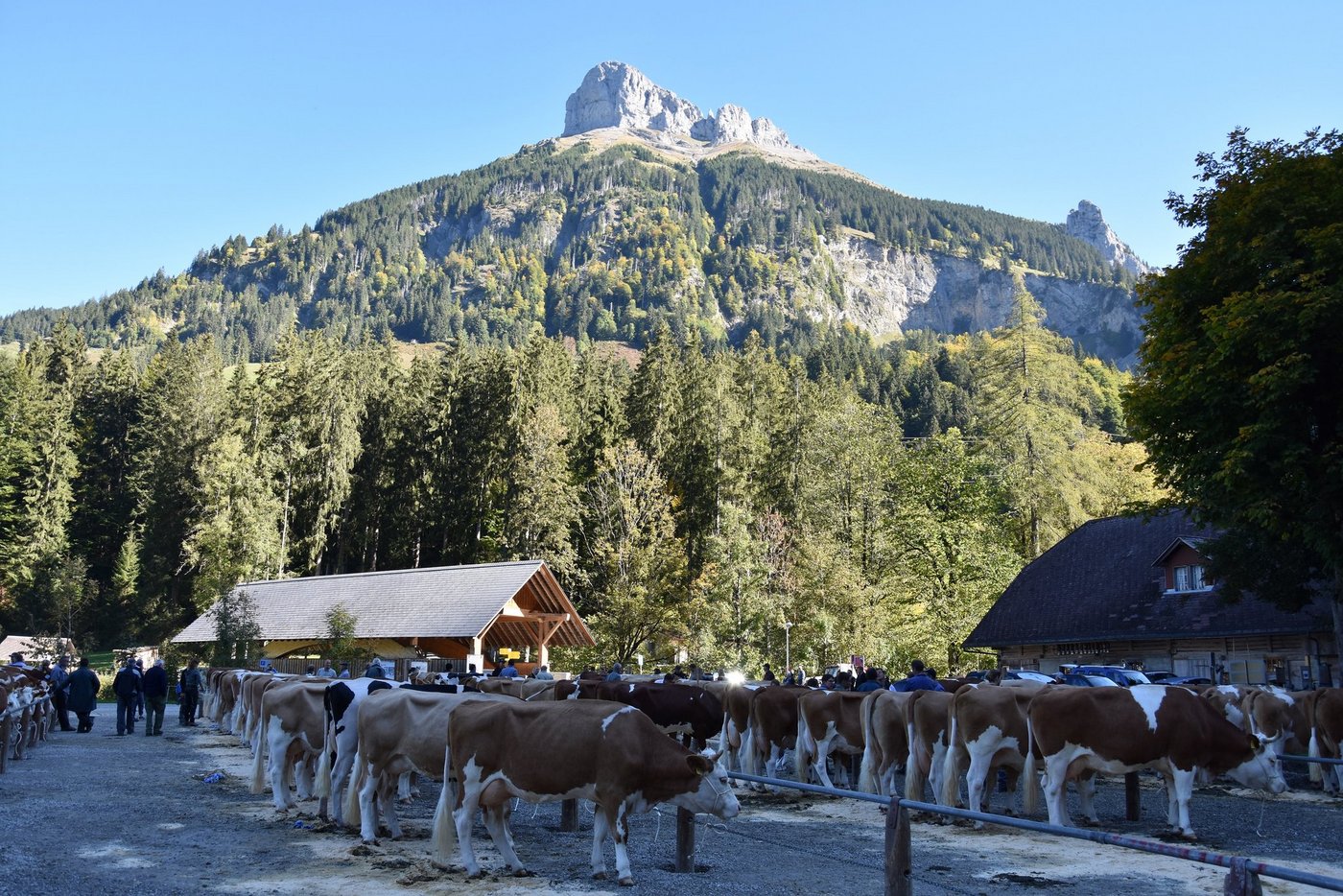 Der schöngelegene Schauplatz im Kemmeriboden-Bad. Im Hintergrund der Schybegütsch.