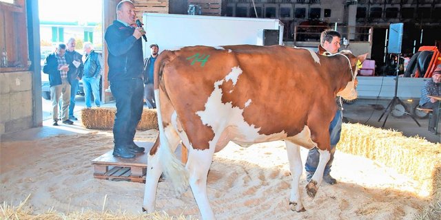 Andreas Aebi war prägend für diese Auktionen.