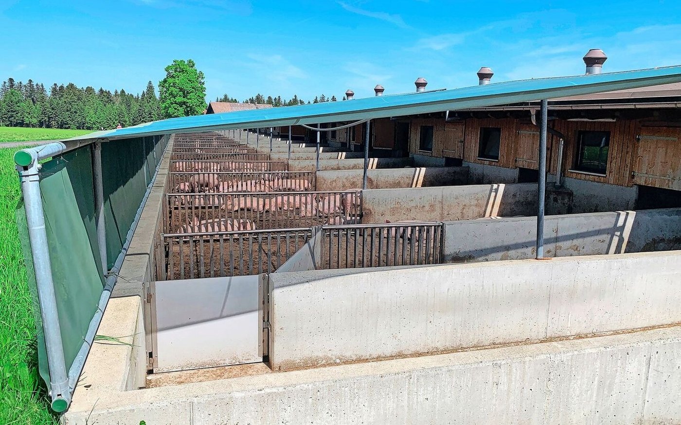 Für die Mauerhöhe bei Schweineausläufen gibt es keine quantitativen Vorgaben für das Programm RAUS, und bei Kontrollen werde das derzeit auch nicht kontrolliert. 