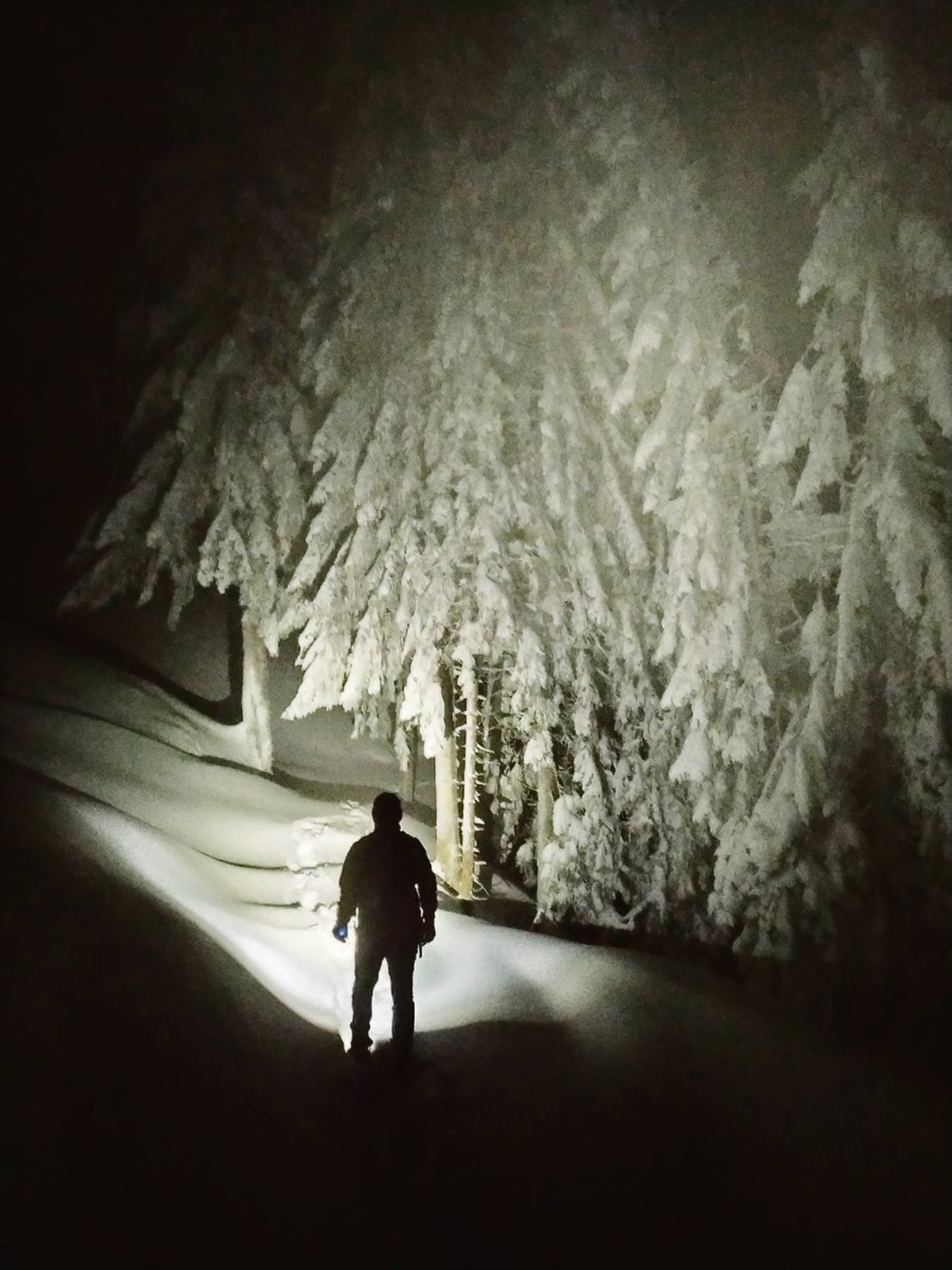 Dieses Bild entstand Mitte Januar, als Tierärztin Susanne Aeschbacher hinter ihrem Mann den Abstieg von der Stächelegg, Fankhaus Trub ins Tal machte.(Bild Susanne Aeschbacher)
