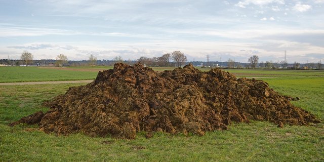 Baugesuch für Misthaufen