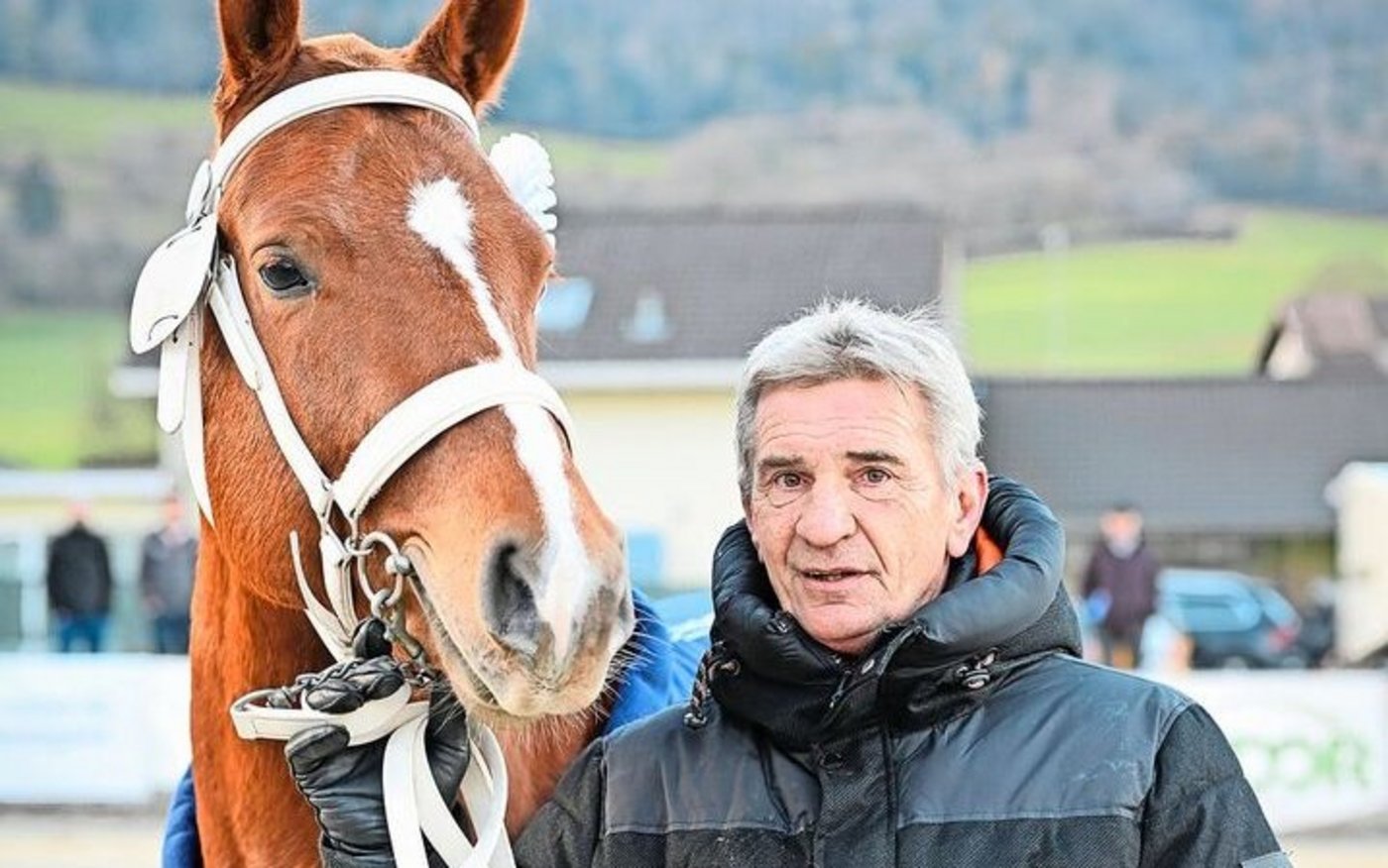 Der Hengstanwärter Érable  (Edoras / Never BW) im Besitz von Pierre Koller beeindruckte die Richter mit seinem Typ und Körperbau besonders.