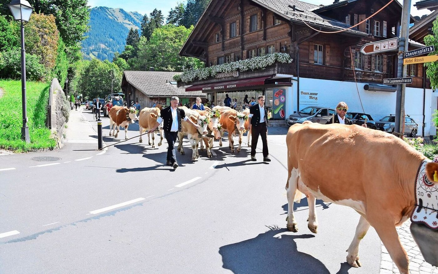 Simon Bach (hinten rechts) und seine Helfer starteten am Morgen von der Alp untere Zwitzeregg. 