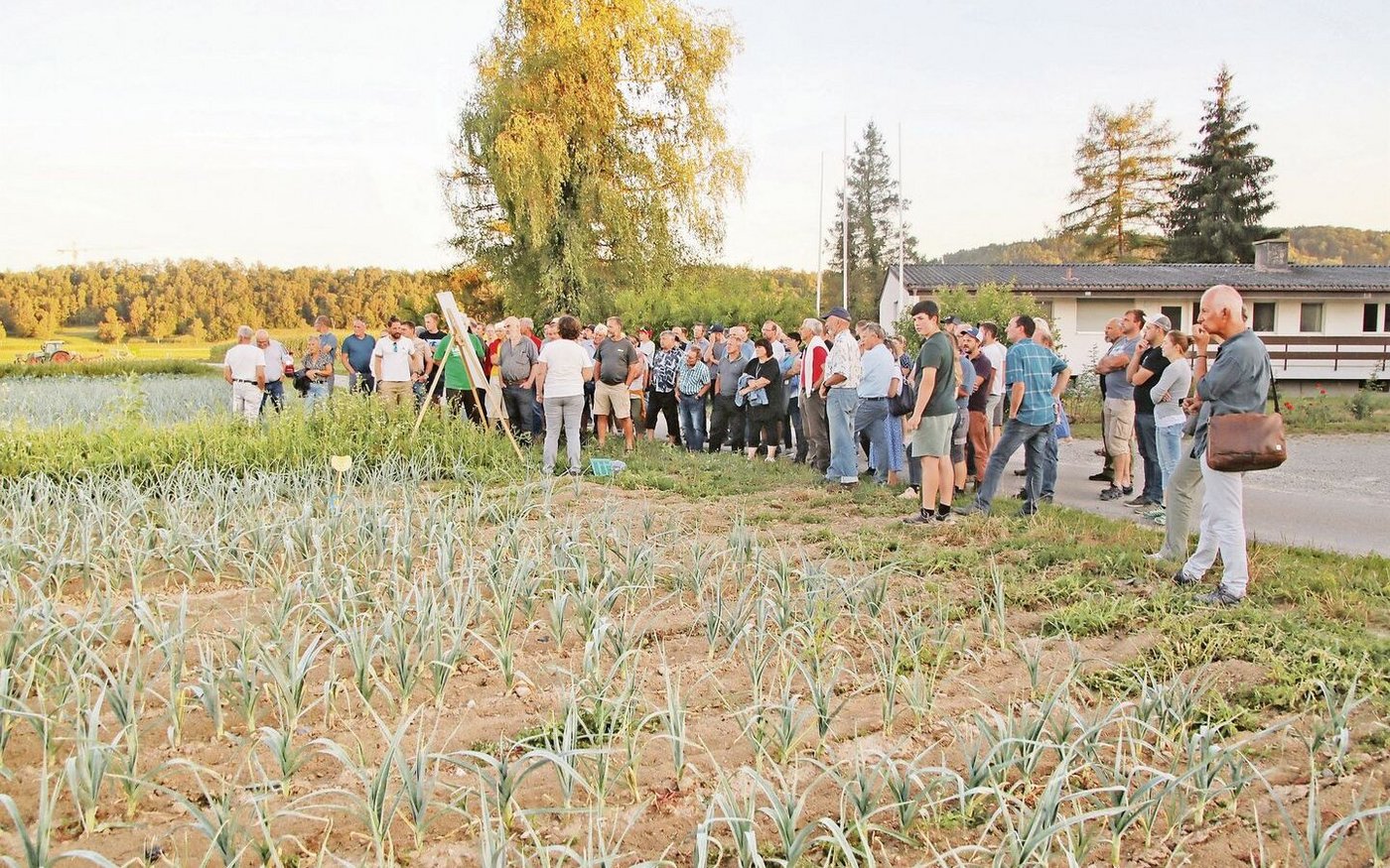 Die zwischen dem Lauch angelegten Blühstreifen sind Teil des ZiBif-Projekts.