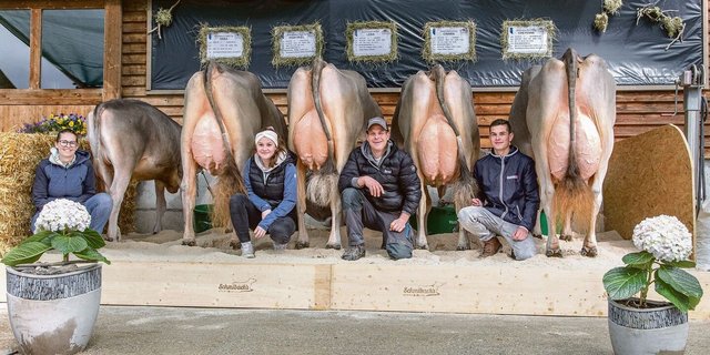 Gislerwaid Blooming Cheyenne von Familie Schmid aus Schüpfheim LU erreichte mit 92 Punkten beim Brown Swiss ein Topresultat.
