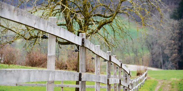 Rund 85 Prozent der Luzerner Betriebe erhalten Beiträge für Landschaftsqualität. 